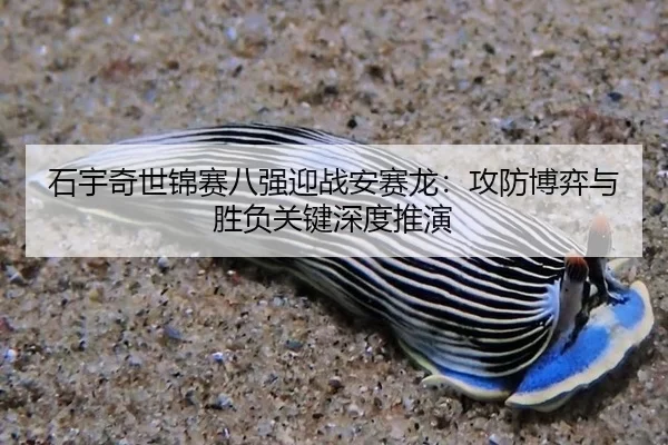 shi-yu-qi-shi-jin-sai-ba-qiang-ying-zhan-an-sai-long-gong-fang-bo-yi-yu-sheng-fu-guan-jian-shen-du-tui-yan-2-995.jpg